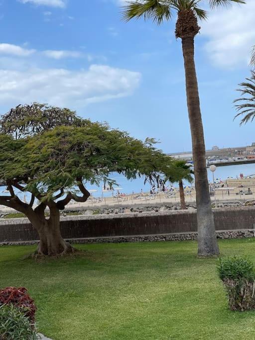 Apartamento Puerto Rico - Primera Linea De Playa Mogán Eksteriør billede